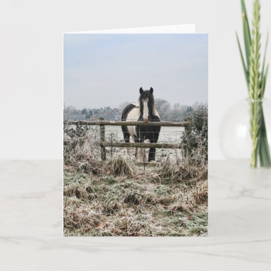 フィー霜の降りたルド シーズンカード (正面)