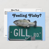 フィ感じッシー？ ポストカード (正面/裏面)