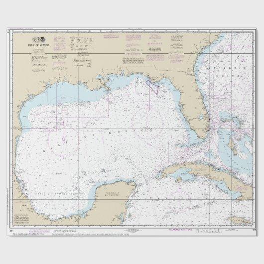フィ航海のキシコ湾マリナー海図 ラッピングペーパー (フラット)