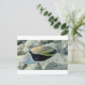 フイムフムヌクヌクアクアプアハワイ州魚 ポストカード (スタンド正面)