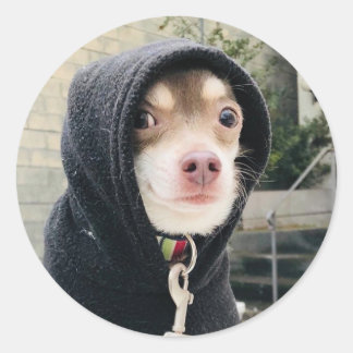 フイ仮装ステッカー!! ラウンドシール