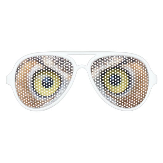 フウおもしろいル眼鏡 アビエーターサングラス (正面)