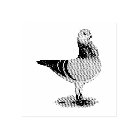フウイタリアンル白鳩 ラバースタンプ (インプリント)