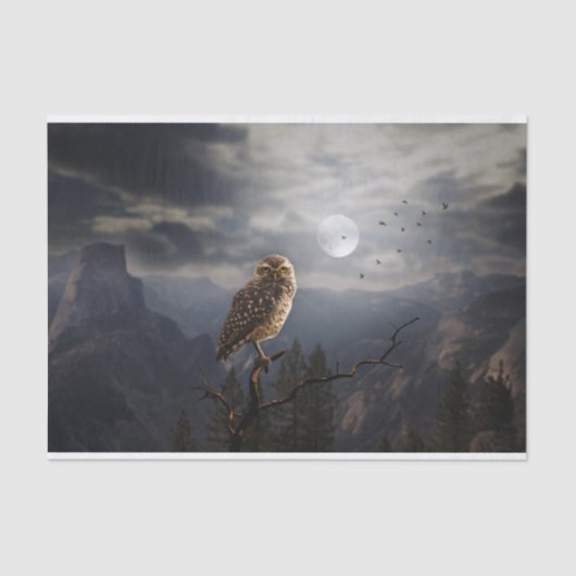 フウ不気味ルと満月ハロウィン 薄葉紙 (正面)