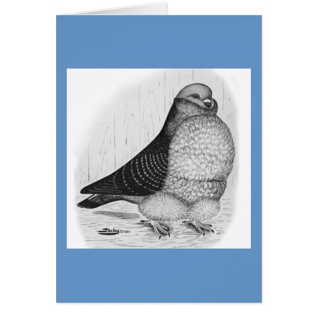 フウ中国のル鳩インクスケッチ (正面)