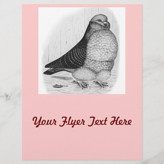 フウ中国のル鳩インクスケッチ チラシ (正面)