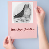 フウ中国のル鳩インクスケッチ チラシ (手)