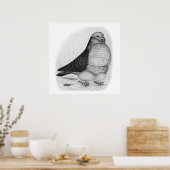 フウ中国のル鳩インクスケッチ ポスター (キッチン)