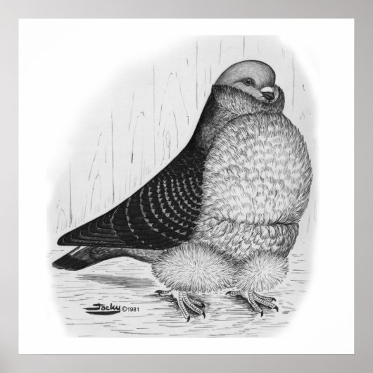 フウ中国のル鳩インクスケッチ ポスター (正面)