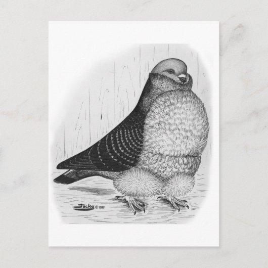 フウ中国のル鳩インクスケッチ ポストカード (正面)