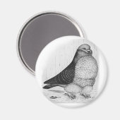 フウ中国のル鳩インクスケッチ マグネット (正面/裏面)