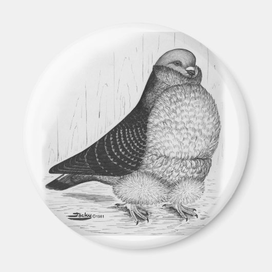 フウ中国のル鳩インクスケッチ マグネット (正面)