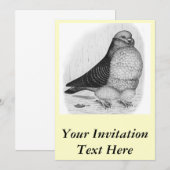 フウ中国のル鳩インクスケッチ 招待状 (正面/裏面)