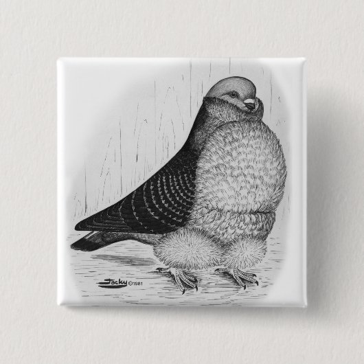 フウ中国のル鳩インクスケッチ 缶バッジ (正面)