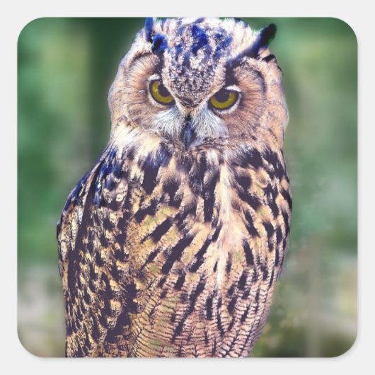 フウ素晴らしル スクエアシール (正面)