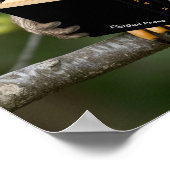 フウ読クロウ ポスター (角)