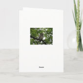 フウLoveル カード (裏面)