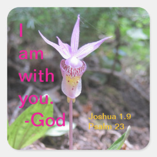 フェアイースリッパーオーキッドフラワースクエアステッカー スクエアシール