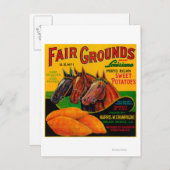 フェアグラウンズヤムラベルBreaux Bridge, LA ポストカード (正面/裏面)