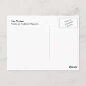 フェアチキン ポストカード (裏面)