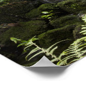 フェアチャイルド熱帯植物園は33ha (83 ha) ポスター (角)