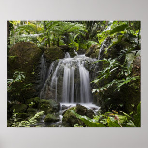 フェアチャイルド熱帯植物園は33ha (83 ha) ポスター