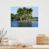 フェアチャイルド熱帯植物園 ポスター (キッチン)