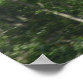 フェアチャイルドPT-19コーネル。 ポスター (角)