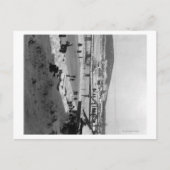 フェアバンクス川にかかる冬の橋 ポストカード (正面)