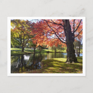 フェアフィールド大学葉書Bellarmine Pond ポストカード