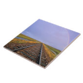 フェアフィールド近くの鉄道線路上の虹 タイル (側面)