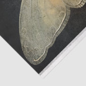 フェアリーお洒落&バタフライマジカルデコップアート 薄葉紙 (詳細)