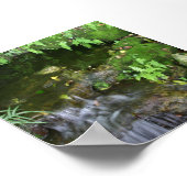 フェアリーのホットスポット写真の背景 ポスター (角)