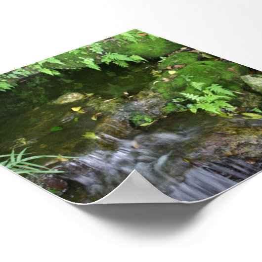 フェアリーのホットスポット写真の背景 ポスター (角)