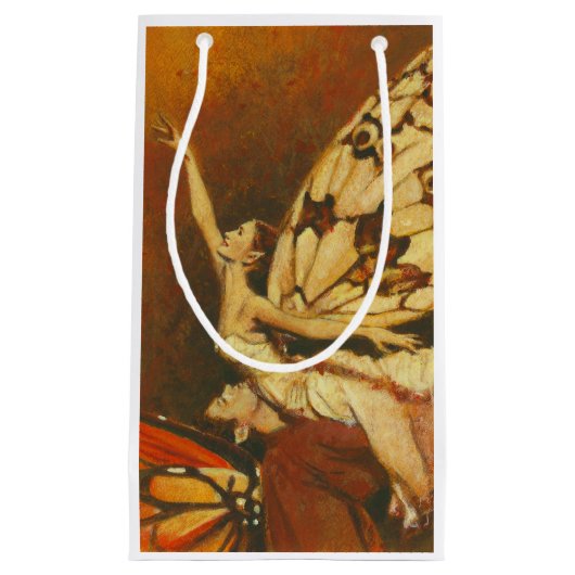 フェアリーカップル抱き枕 スモールペーパーバッグ (正面)