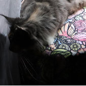 フェアリーガーデンガーデニング フリースブランケット