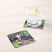 フェアリースリッパーオーキッドフラワー スクエアペーパーコースター (インサイチュ)