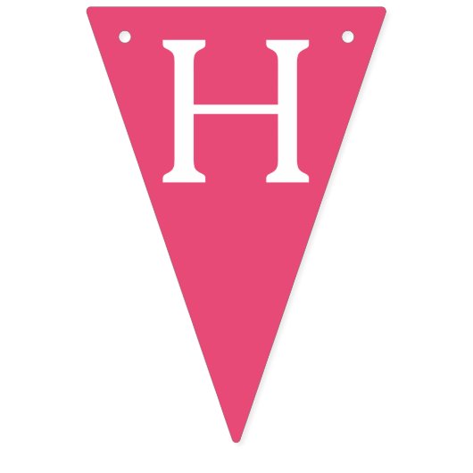 フェアリーパンハッピーバースデーパーティーオーストラリア料理 バンティングフラッグ (第2の旗)