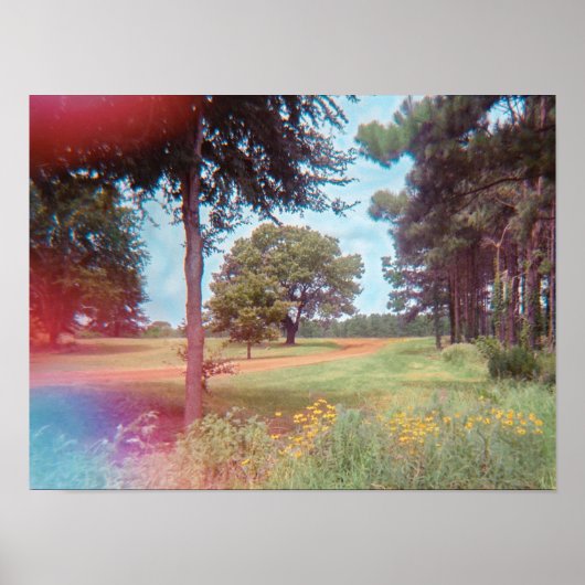 フェアリーフォレストアナログプリント ポスター (正面)