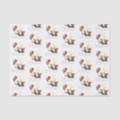 フェアリーフレンズティッシュペーパー 薄葉紙 (正面)