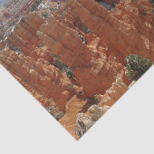 フェアリーランドキャニオンアットブライスキャニオンナショナルパーク 薄葉紙 (詳細)