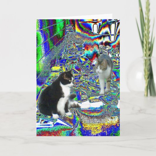 フェアリーランドスクールのホールパス カード (正面)