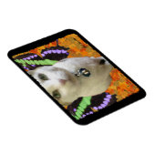 フェアリー猫プレミアムマグネット マグネット (右側)