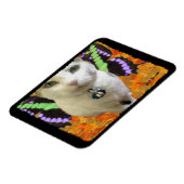 フェアリー猫プレミアムマグネット マグネット (左側)