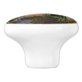 フェアリー祈小妖精や小人の星の夜のノブ セラミックノブ (側面)