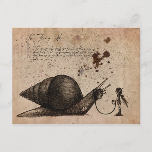 フェアリー・オストラー ポストカード (正面)