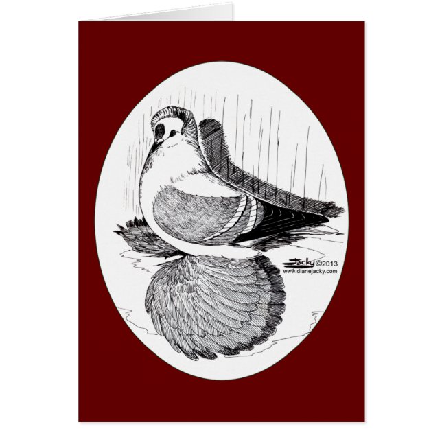 フェアリー・スワロー・ピジョン1978 (正面)