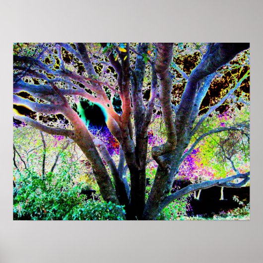 フェアリー・ツリー・ポスター ポスター (正面)