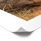 フェイキャニオンランドスケープ ポスター (角)