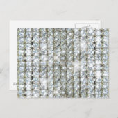 フェイクきらきら光る ポストカード (正面/裏面)